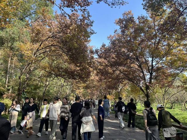 秋冬交替的明孝陵神道：一半秋意浓，一半冬风凉