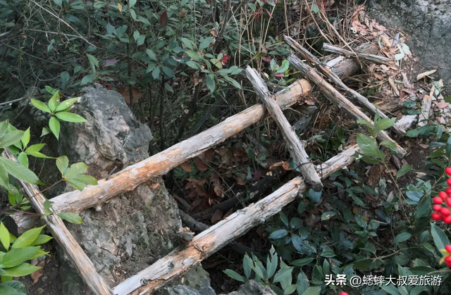 来挑战杭州7公里“名人环线古道”吧，全程5小时，真野路，超松弛