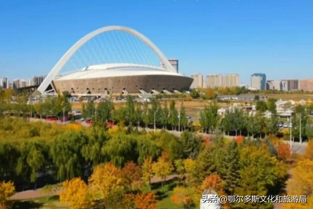 东胜区秋日私语——抓住金色的尾巴