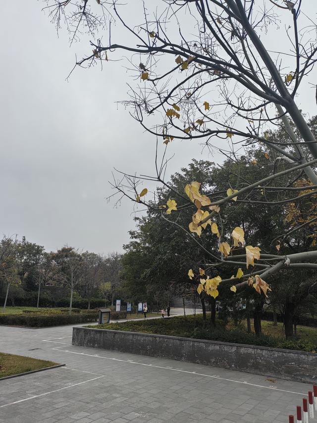 洛阳八大景之洛浦秋风——道是无形却有情