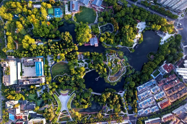 周末晒太阳，虹口有这些好去处