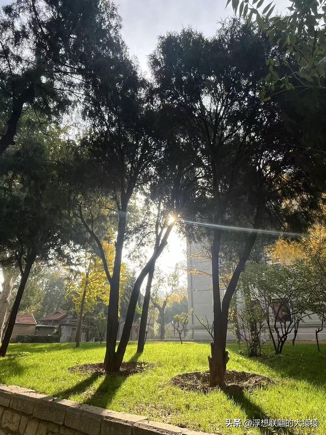 俺那天进齐鲁大学里面来了一场时空旅行（山东大学趵突泉校区）
