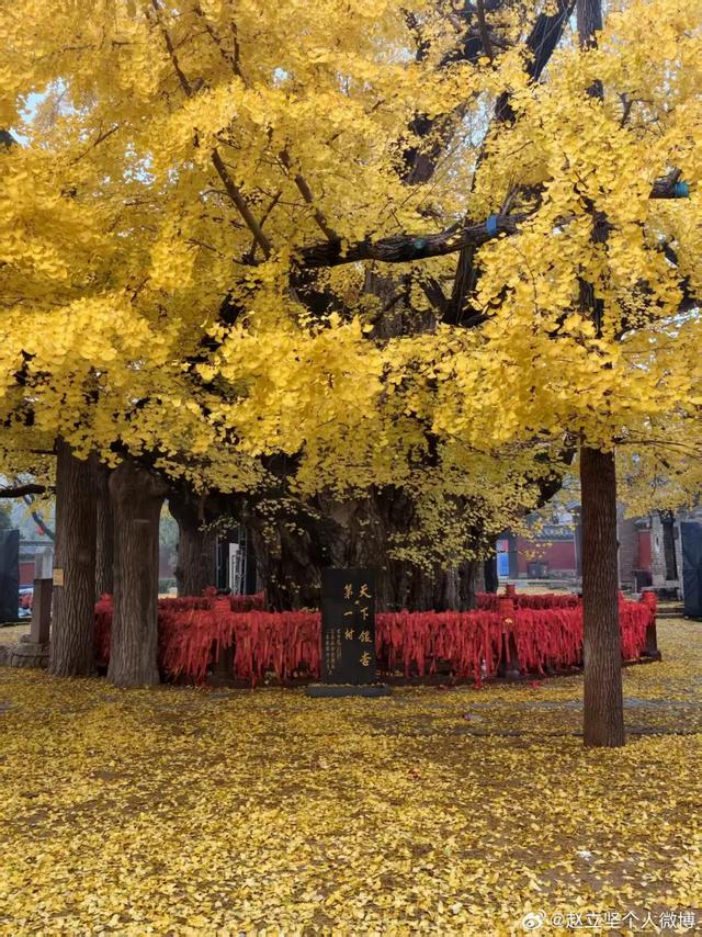 连发两篇！赵立坚推介日照这一美景：每一帧都是壁纸！