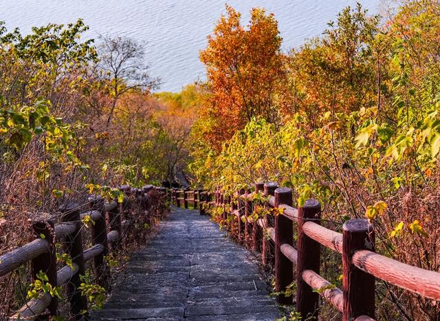 免费打卡明光女山,人少景美超级治愈~