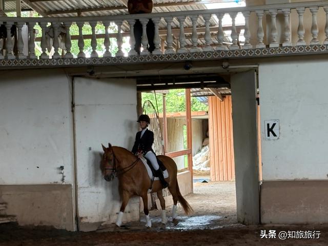 2025年环球知旅——海岛公主号邮轮(第九天)