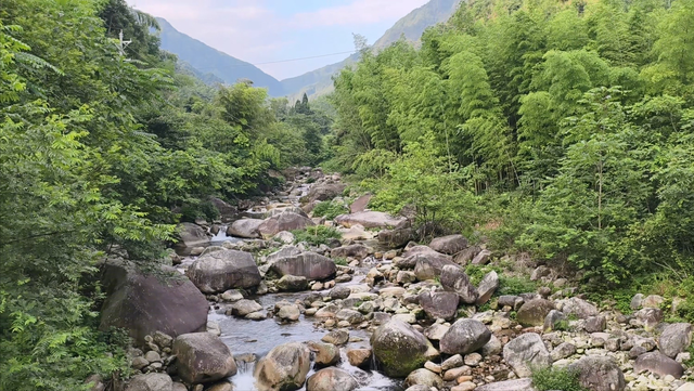 舜帝三临的"南方植物王国"：藏着长征记忆与千年茶香的"大山里"
