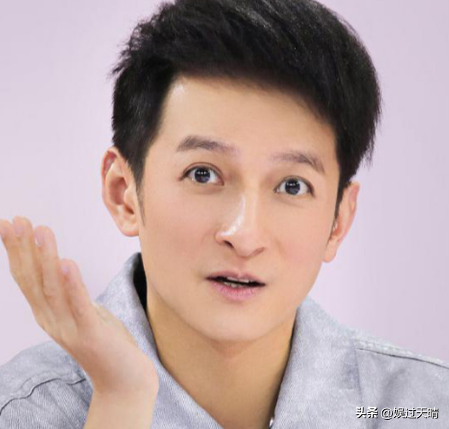 从主持人到“精神病”，48岁的李维嘉消失多年，近况再出令人唏嘘