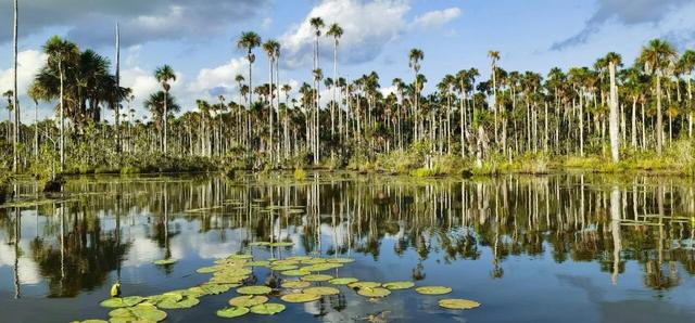 一生一次，2027年出发！41天南极半岛包船登陆，南美4国狂野自驾