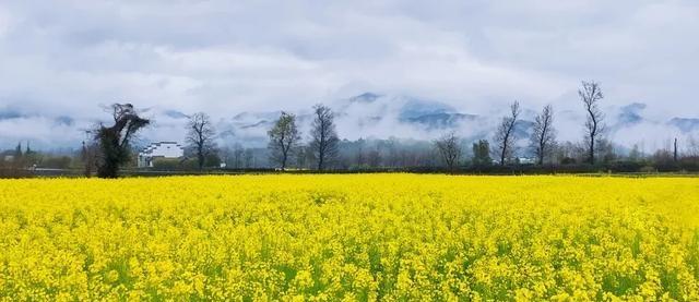 三月的中国，承包了世界所有的春日浪漫