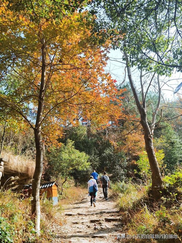 江浙沪秋季徒步攻略｜6 条绝美秋叶路线，新手进阶全覆盖