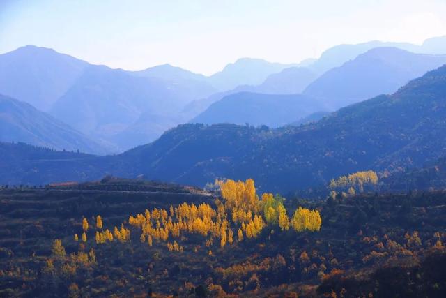 渑池坡头红叶拍摄记：一场迟来的秋日邂逅