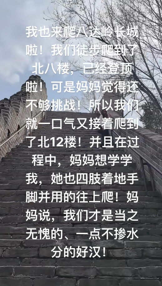 爬泰山的作死夫妻被制裁！导盲犬被收回，身份被扒，家里还有一只