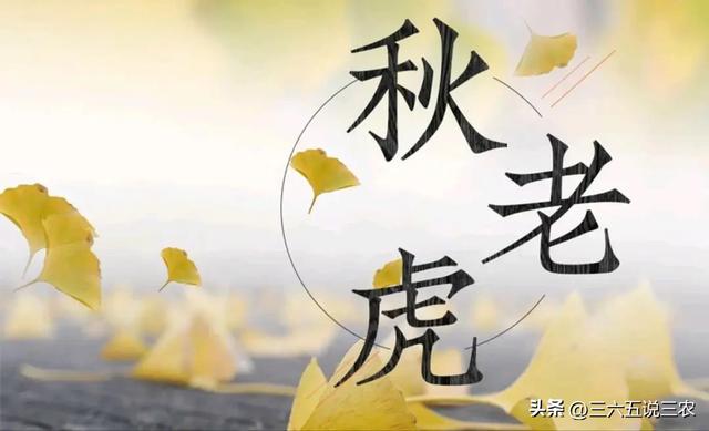 十一国庆节假期恐要“泡汤”，局地降温达10℃，最冷国庆要来了？