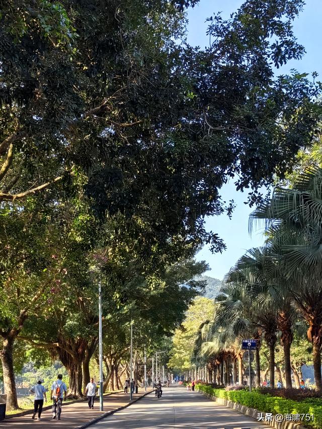 从化风云岭森林公园