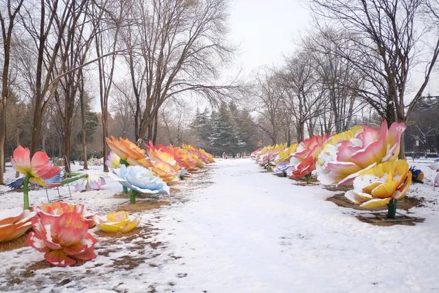 实拍!洛阳新春灯会来了!超多惊喜