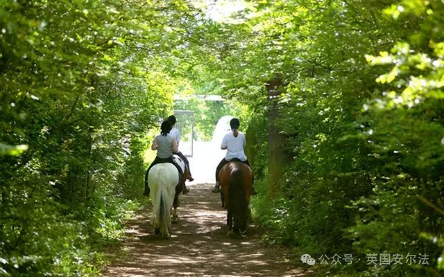 伦敦的32个行政区的综合排名