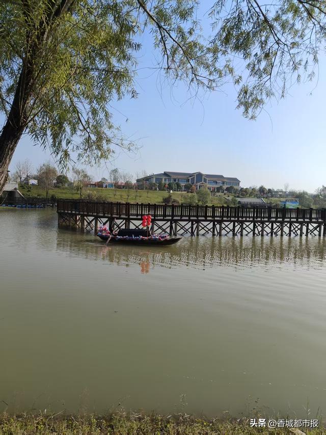 湖光映濠江 研学润童心——澳门学子向阳湖湿地的生态文化之约