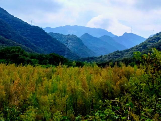 古称重丘，你知道是泌阳哪个乡么？