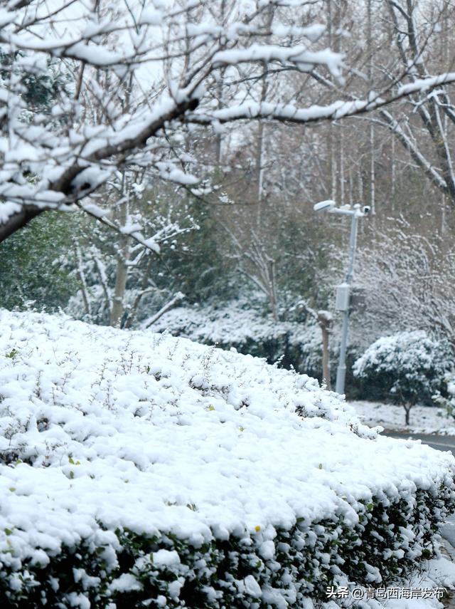 雪后西海岸，美成童话！