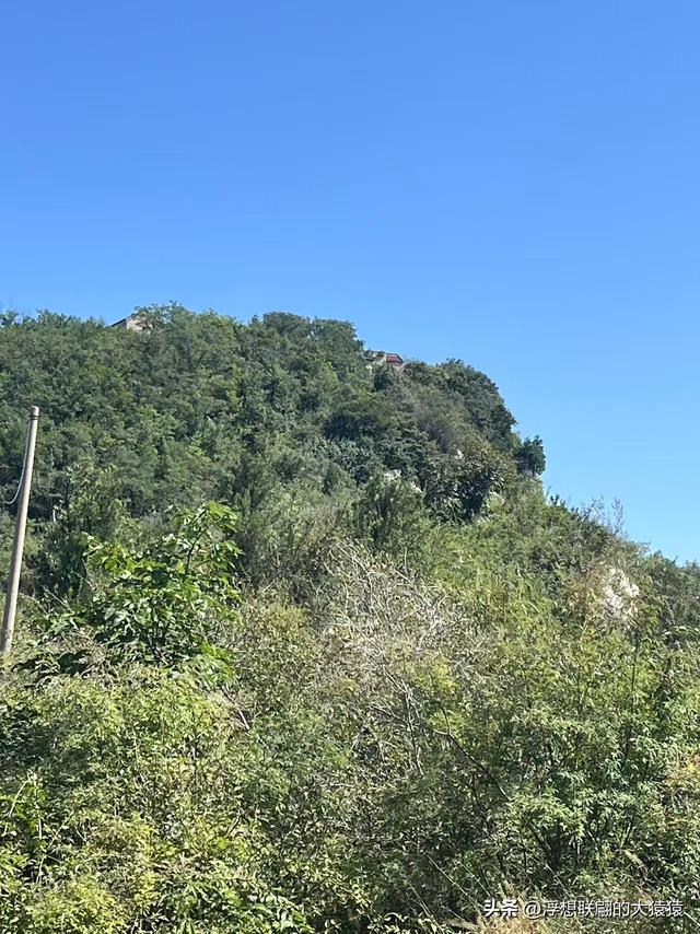 我，终于登上了岳阳山之巅！（博山登山记）
