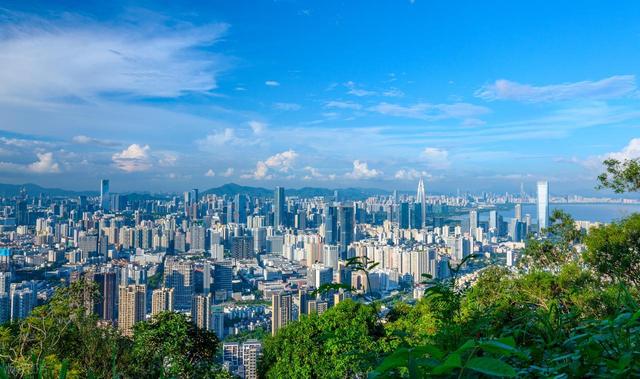 深圳最值得去的6个公园推荐！全部免费，地铁直达，好玩又好拍！