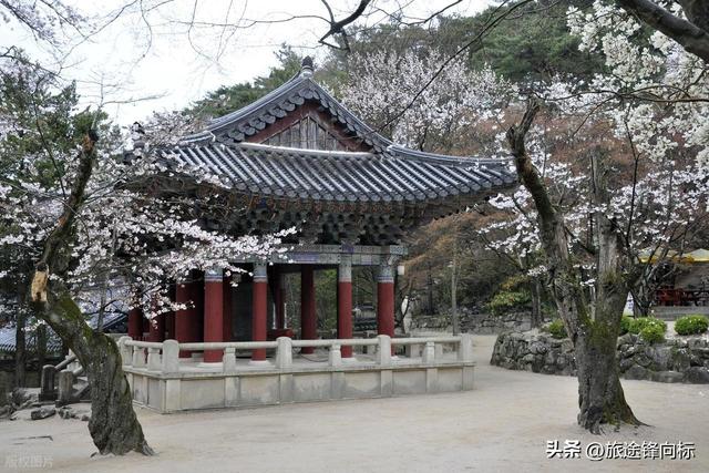 日本韩国最佳出行天气，按季节选，还能精准捕捉限定美景