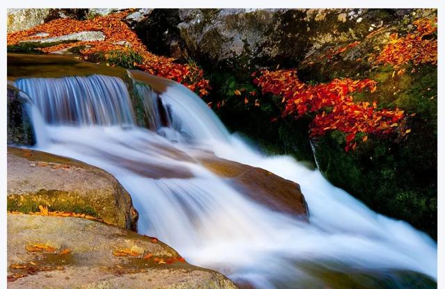 红叶漫山涧！来汉江源，邂逅一抹绝色秋光