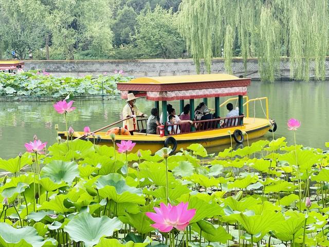 退休8年，我用“旅居”方式花小钱走遍大半个中国