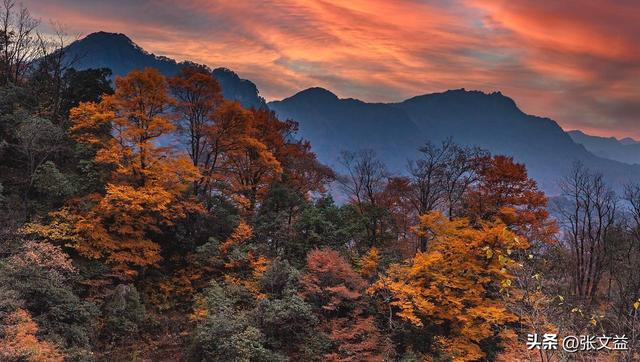 提起巴中，你会想到什么？是苏区还是红叶，其实都不是