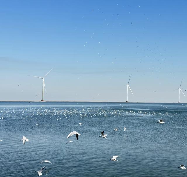 天津不仅有海河，还能看海，滨海新区的海景和海鲜不错