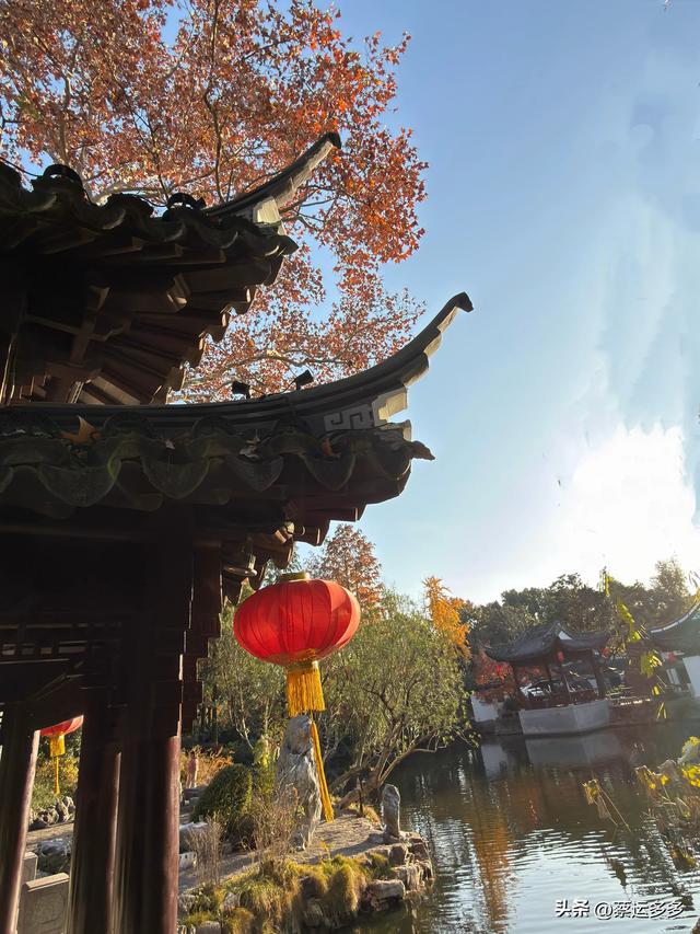 沪上园林古猗园已达颜值巅峰