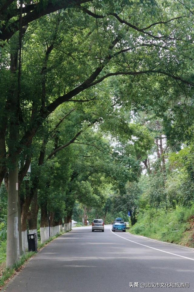 热热热！夏日避暑纳凉路线来啦