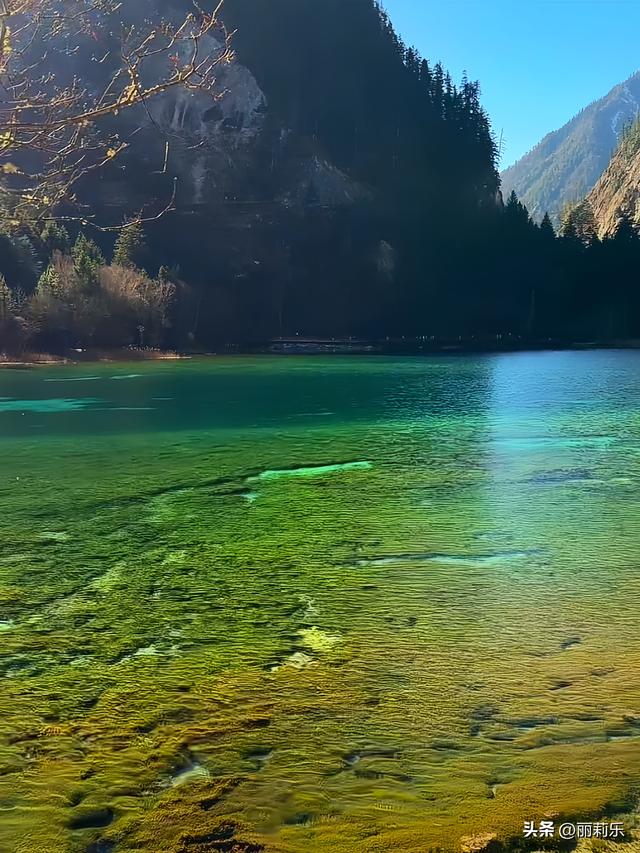我在九寨沟踩了一脚“碎钻”，才懂日子里的光根本藏不住