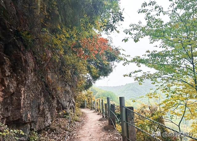 成都大邑爆火彩林，小牛背山、小喀纳斯这里都有，超级惊艳！