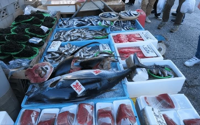 中国游客在日本有多危险？国家终于发声了，赴日旅游订单瞬间暴跌