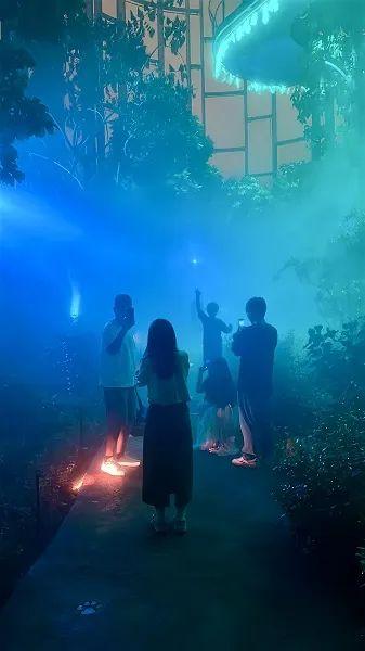 温室夜游，露天电影，夜场观展……夏夜消闲就在“双子山”下