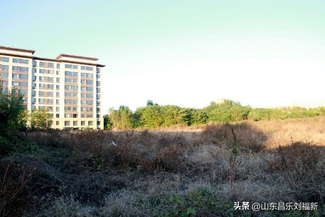 蓝天白云·径去西城拍片