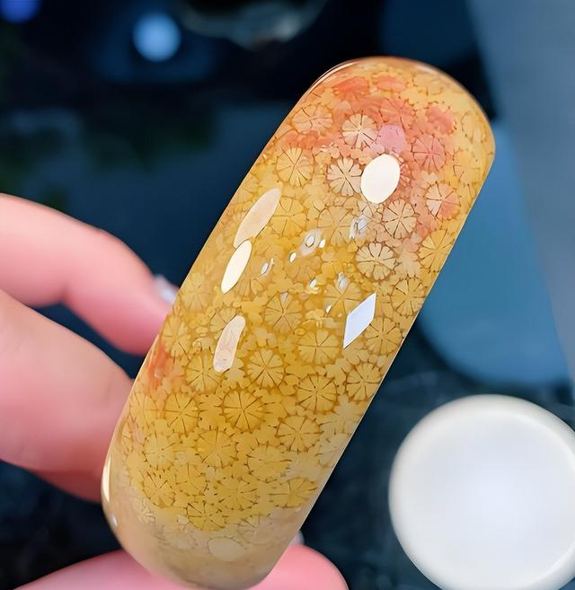 看后颠覆你的认知！有机宝石这么多！看完帮您涨知识！