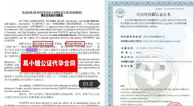 代孕只是冰山一角！张雨绮再迎2大噩耗	，38岁事业惨遭滑铁卢