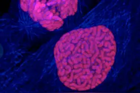 靶向药引起的腹泻、皮疹、肝损伤怎么缓解？实用指南来了！图片