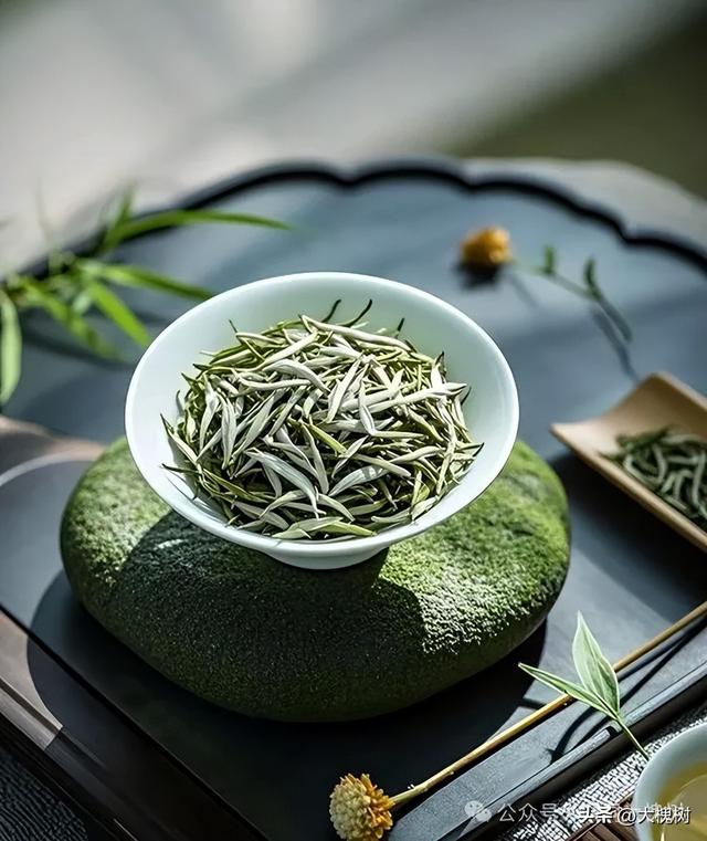 山西高校新生专属福利：洪洞大槐树景区免票迎新生，赠暖茶传文化