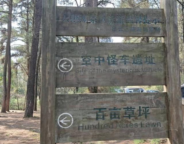 贵阳冬日最神秘的林场！绿野仙踪的尽头，竟藏着一个天空谜题。