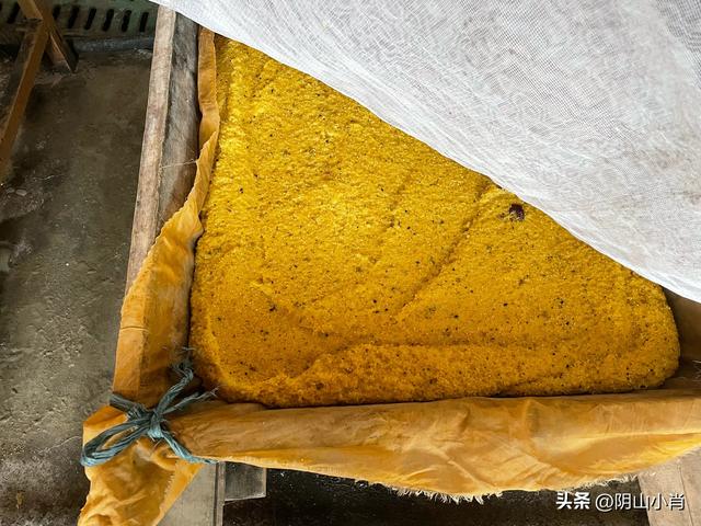 呼和浩特市托克托县田野考察笔记