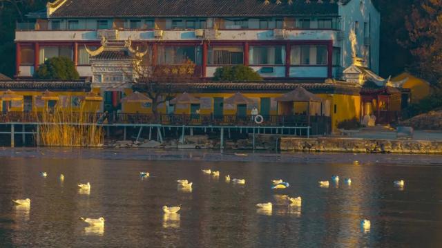 苏州年度限定奇观来了