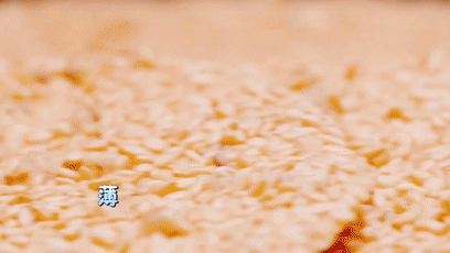 2025“心动小城”！淄博一地上榜→