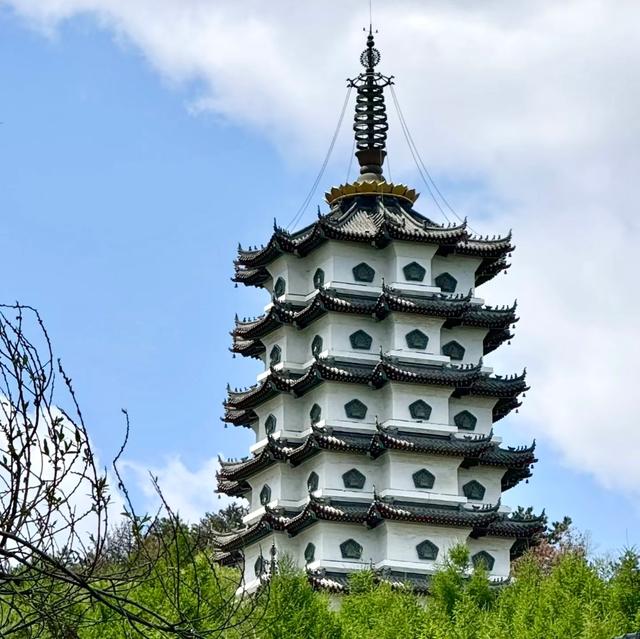 我是上海人，去萨尔许草原踩脏小白鞋，看星星尝手抓羊肉很新鲜