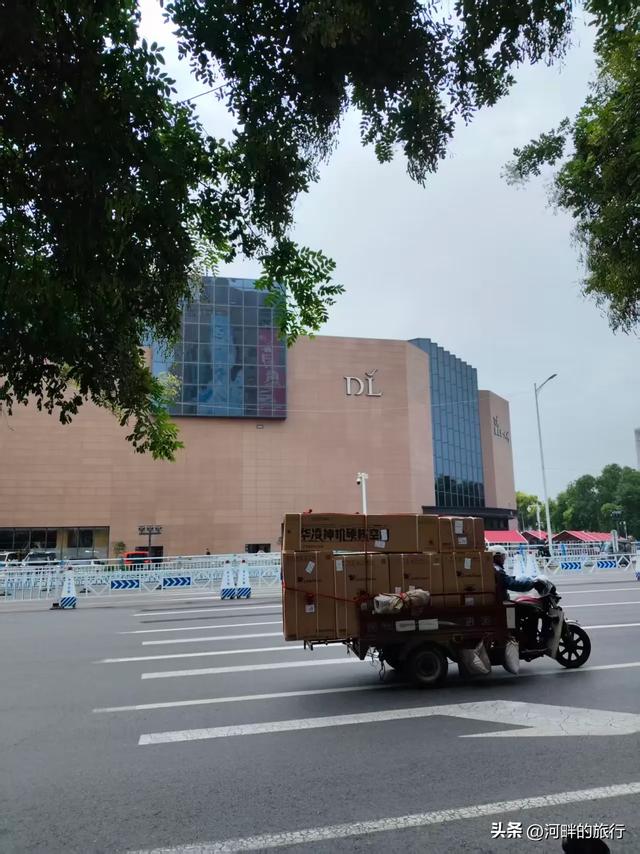 新乡市城里十字大槐树