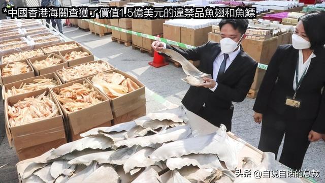 美国陈年花胶 2026年陈年花胶价格