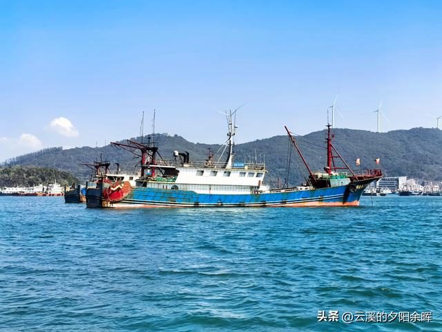 广东阳江海陵岛“渔家乐”体验，章鱼独当一面