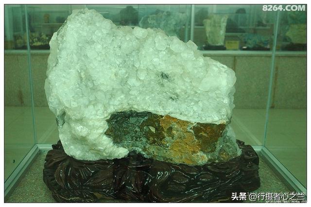 山东行游影记（31）—平邑天宇自然博物馆（六）